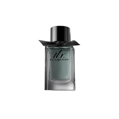 Mr. burberry eau de toilette